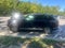 2027 Hyundai PALISADE HYBRID SEL 7 Passenger